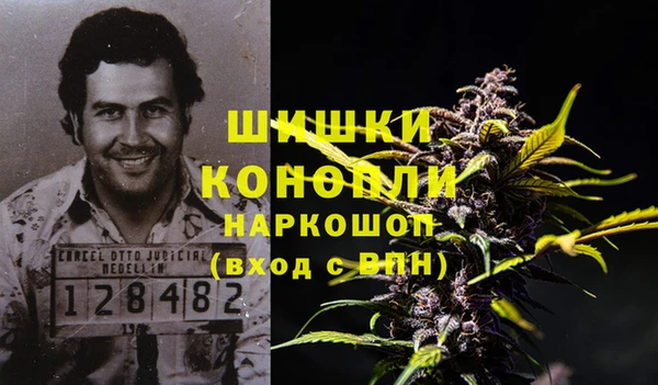 ECSTASY Липки