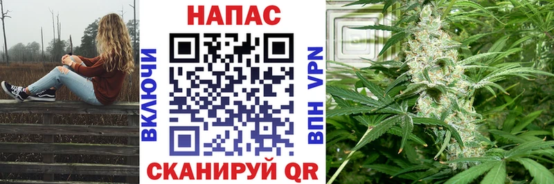 Канабис OG Kush  Гвардейск 
